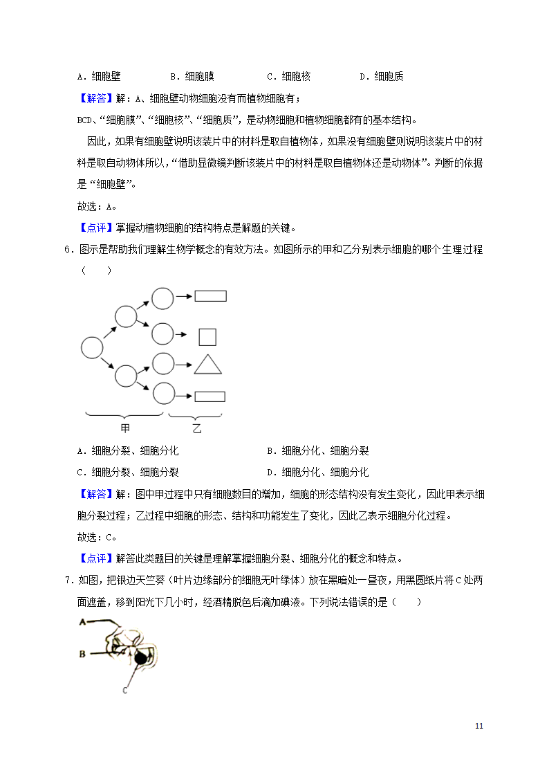 历年四川省广安初三生物中考真题.doc第11页