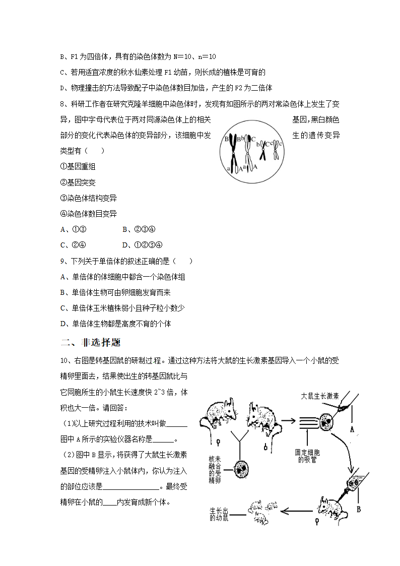 《第四节 生物的变异》习题.doc第2页