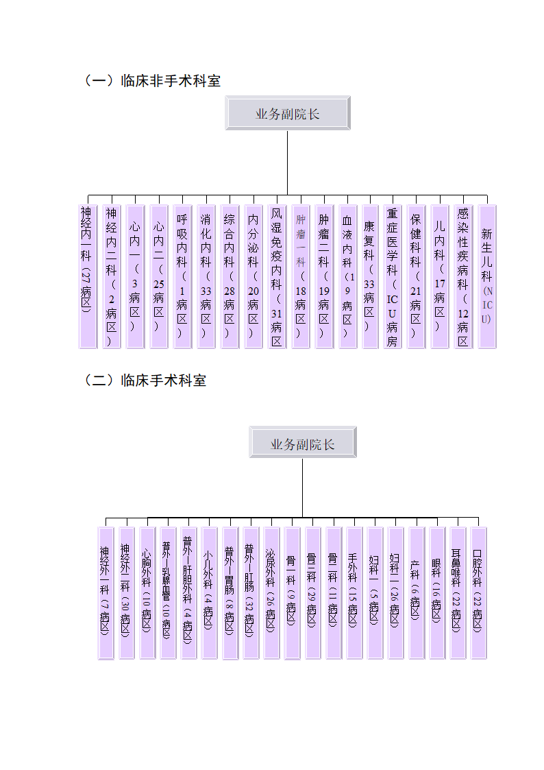 医院组织架构图（全面）.doc第2页