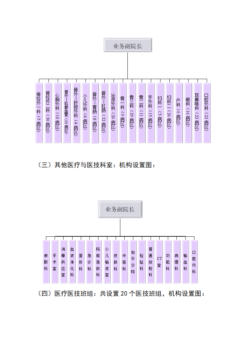 医院组织架构图（全面）.doc第3页