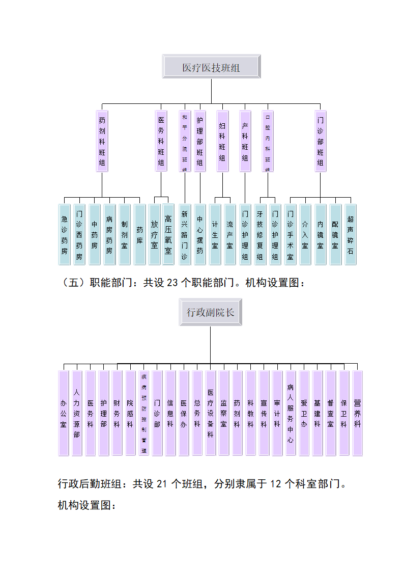 医院组织架构图（全面）.doc第4页