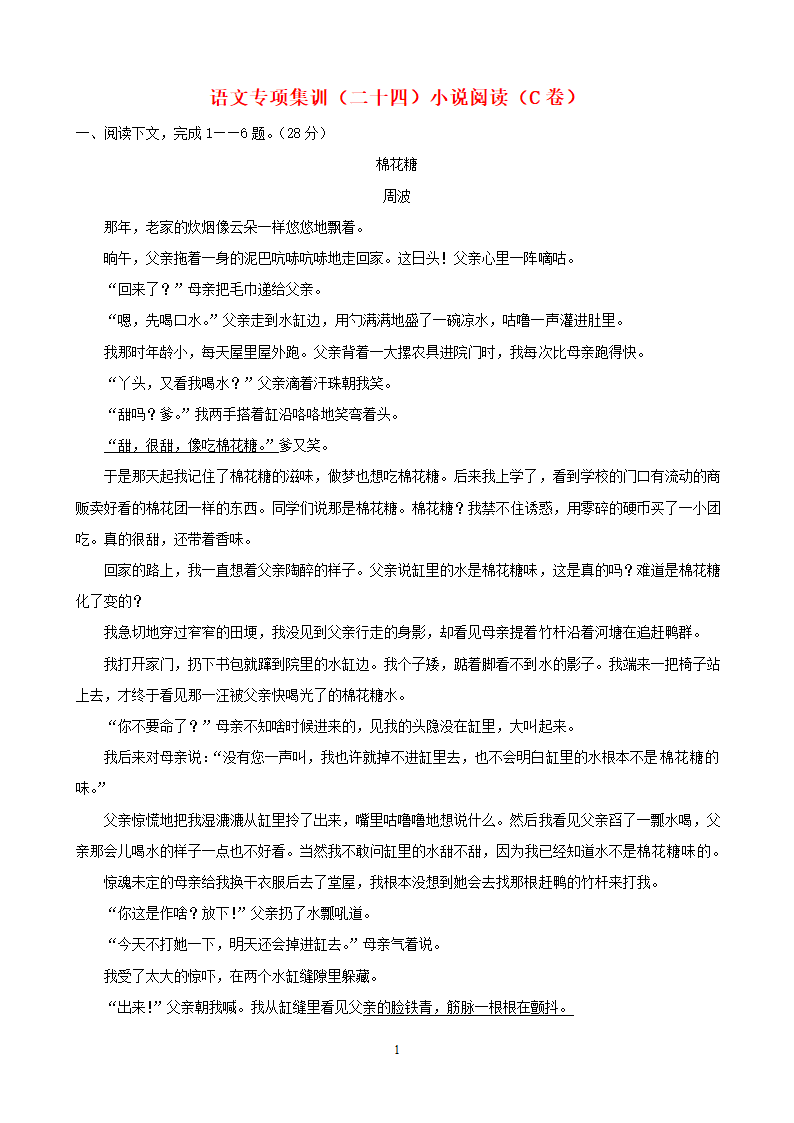 中考语文专项集训24小说阅读（C卷）.doc第1页