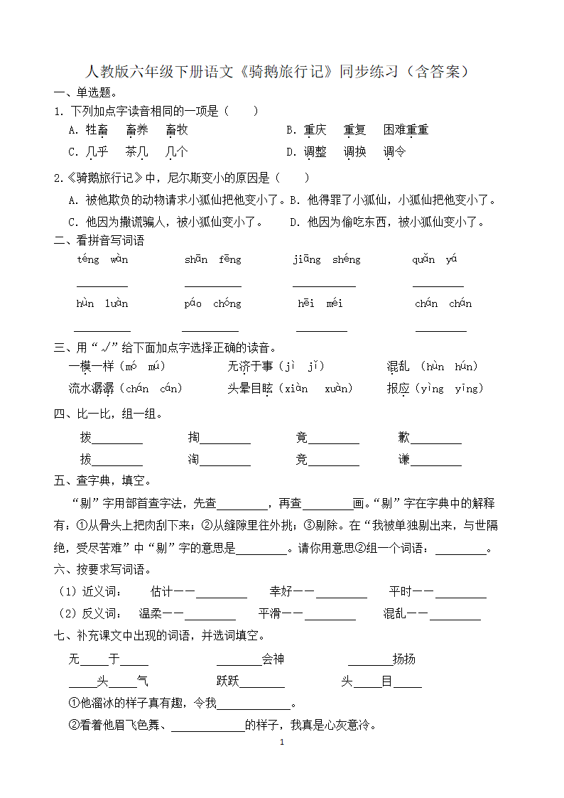 6《骑鹅旅行记》同步练习（含答案）.doc第1页