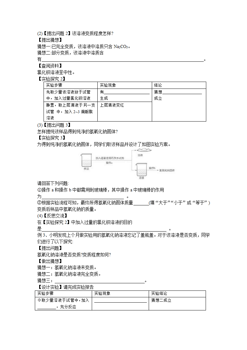 2022年中考化学酸碱盐除杂与推断 教案.doc第2页