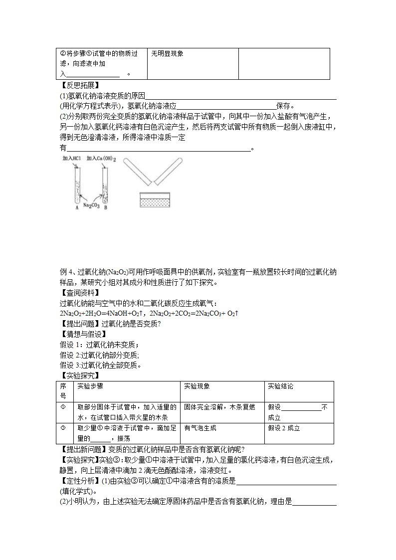 2022年中考化学酸碱盐除杂与推断 教案.doc第3页