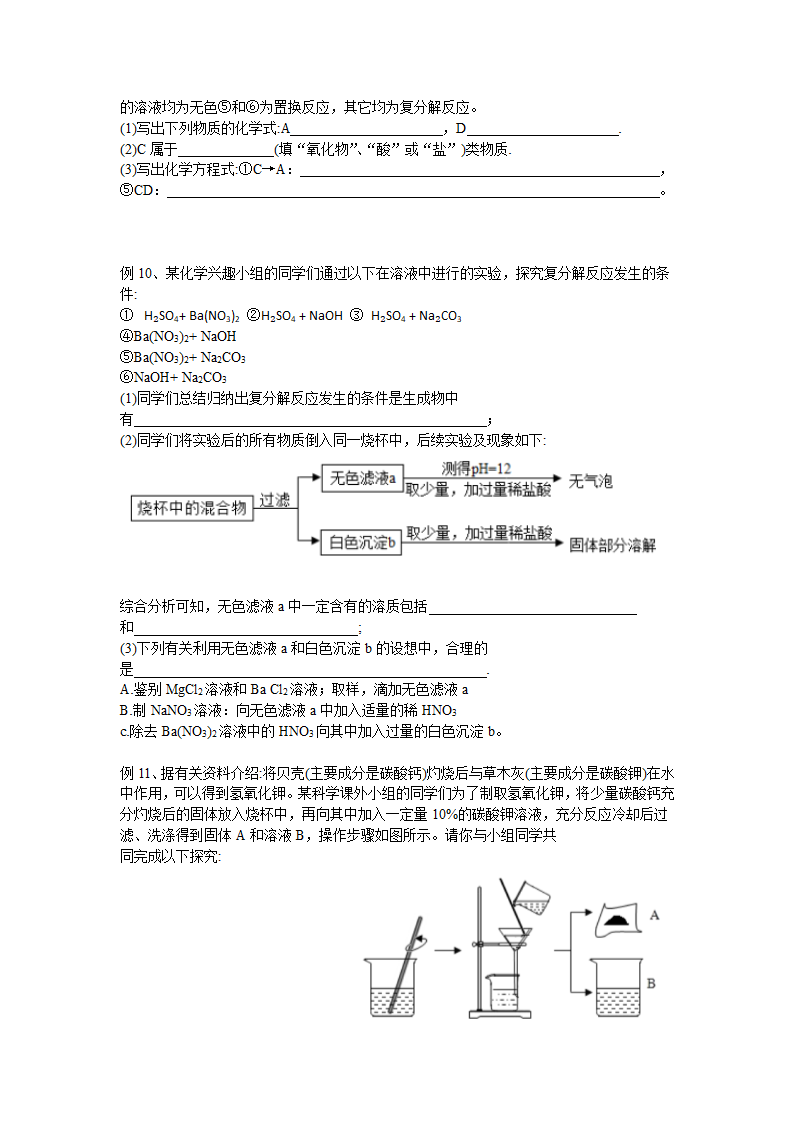 2022年中考化学酸碱盐除杂与推断 教案.doc第7页