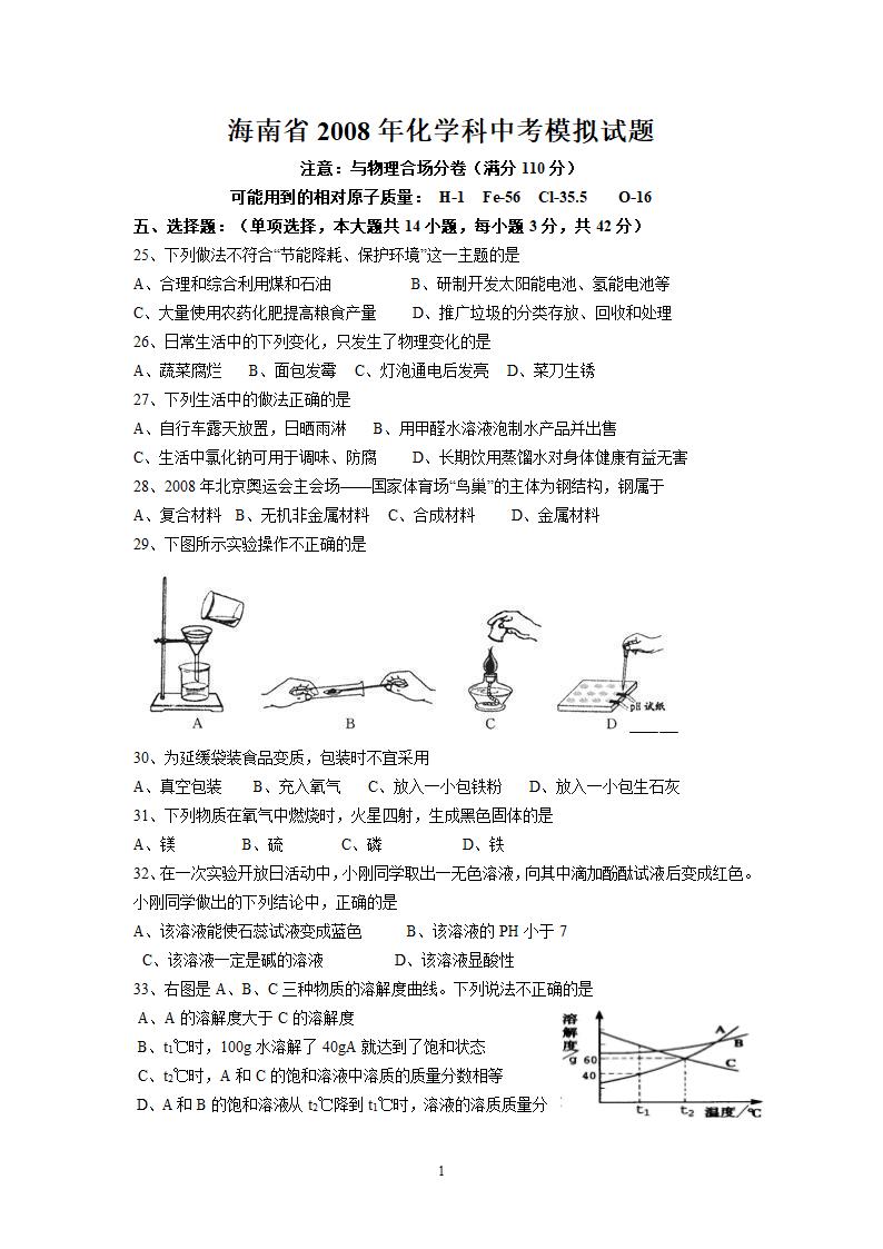 2008年海南省中考模拟化学试题.doc