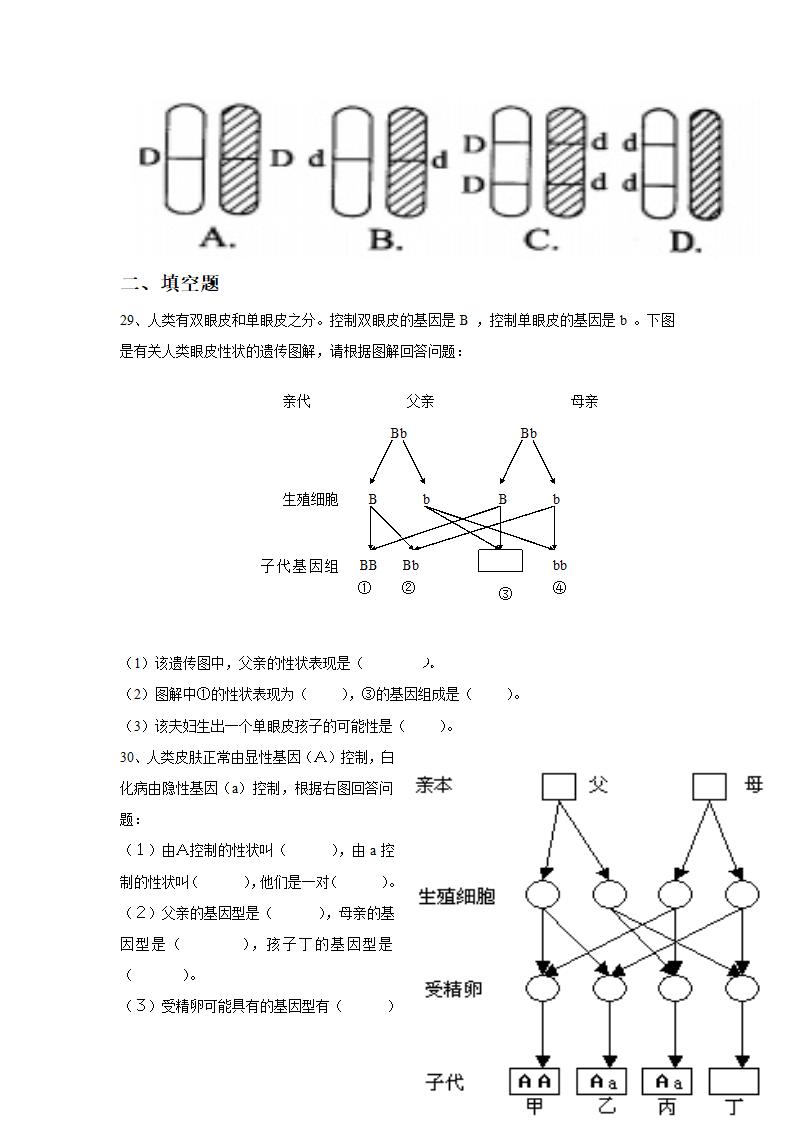 《第二节 生物的性状遗传》 习题.doc第4页