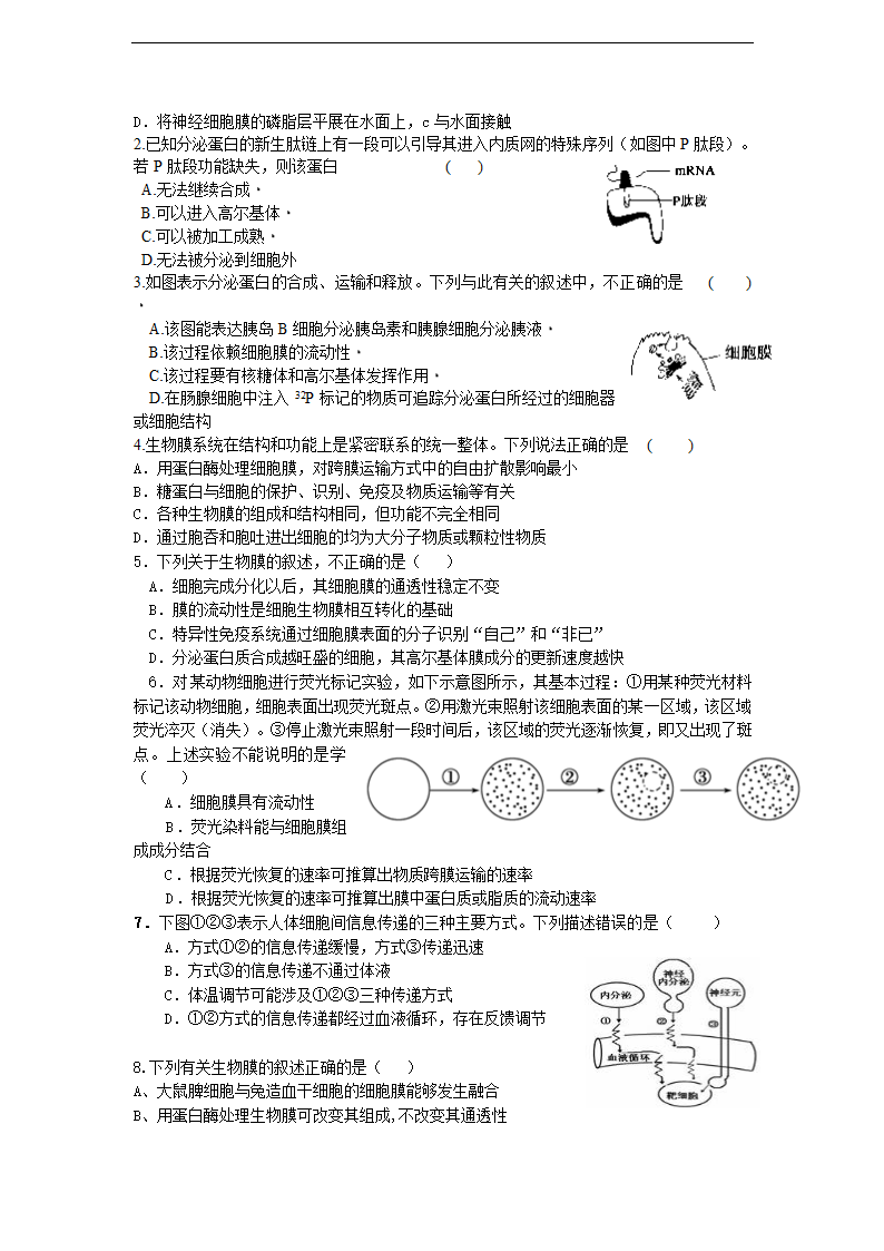 生物膜系统.doc第3页