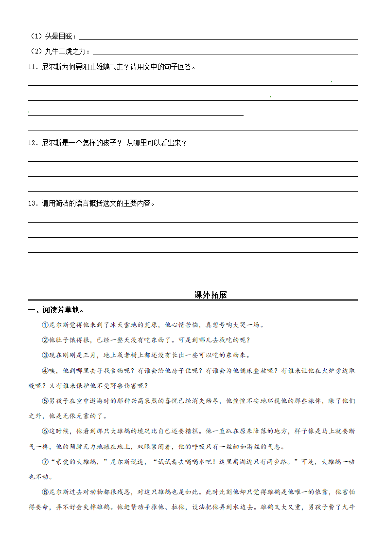 6.《骑鹅旅行记》同步课内外阅读（含答案）.doc第3页