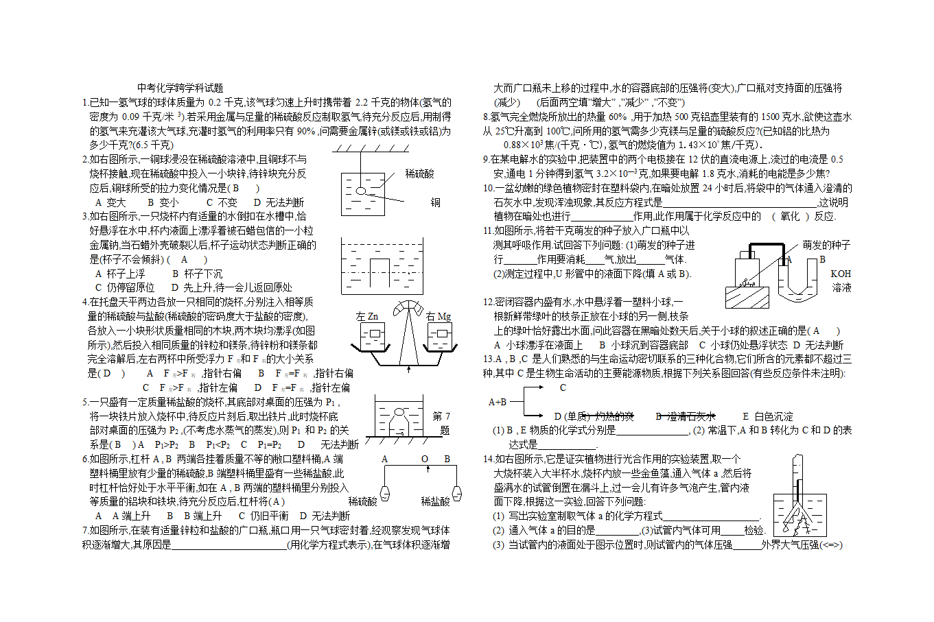 中考化学跨学科试题[下学期].doc