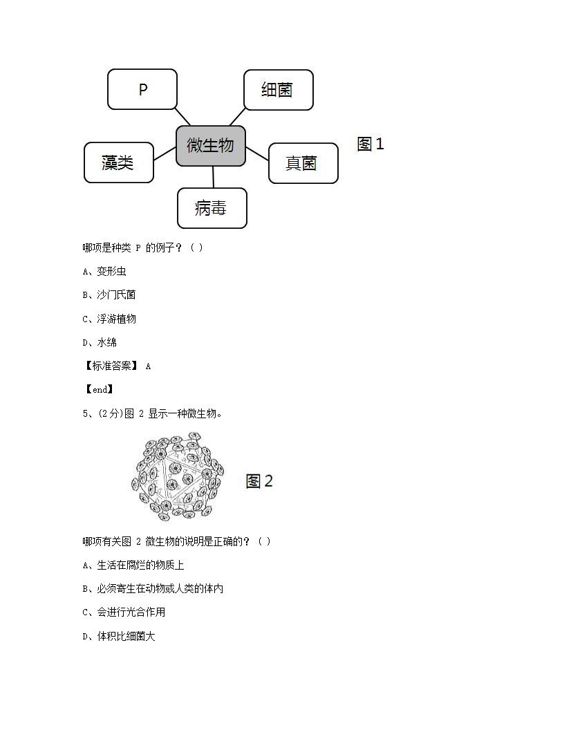 科学 - 试卷一.docx第3页