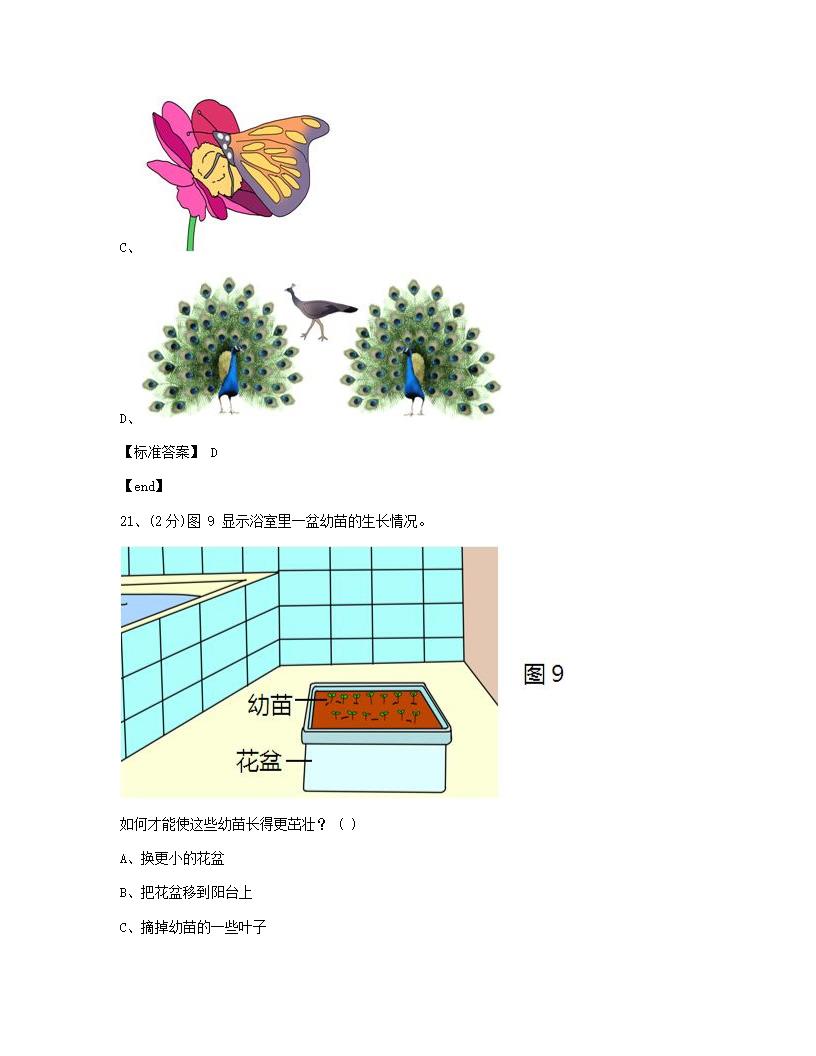 科学 - 试卷一.docx第11页