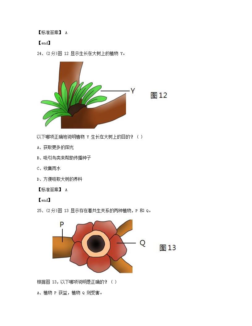 科学 - 试卷一.docx第13页