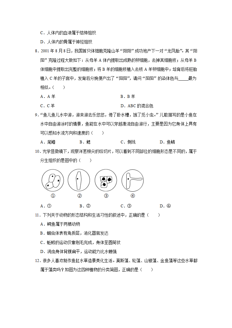 人教版生物七年级上册期末复习卷.doc第2页