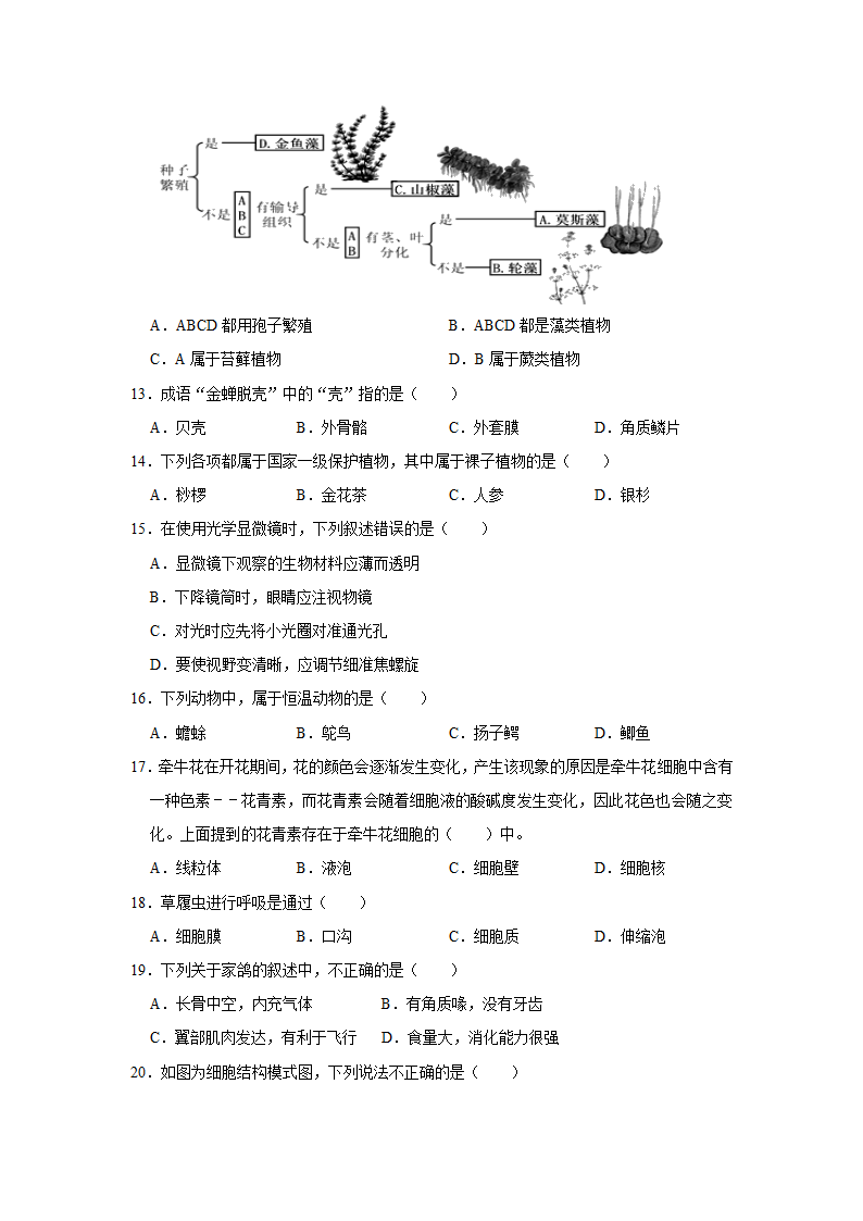 人教版生物七年级上册期末复习卷.doc第3页