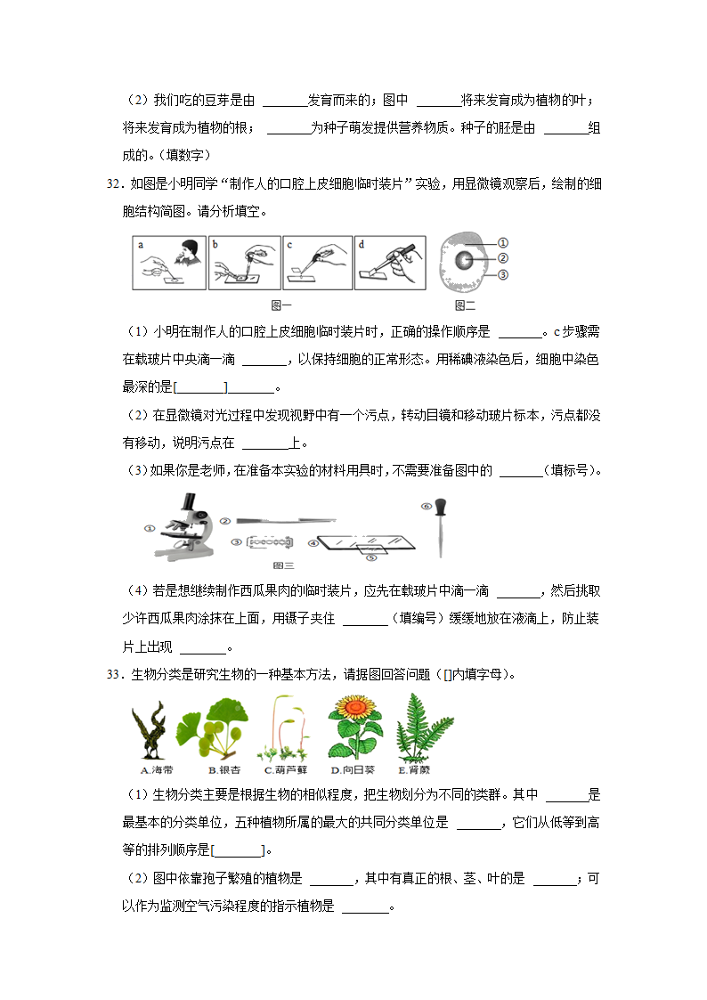 人教版生物七年级上册期末复习卷.doc第6页