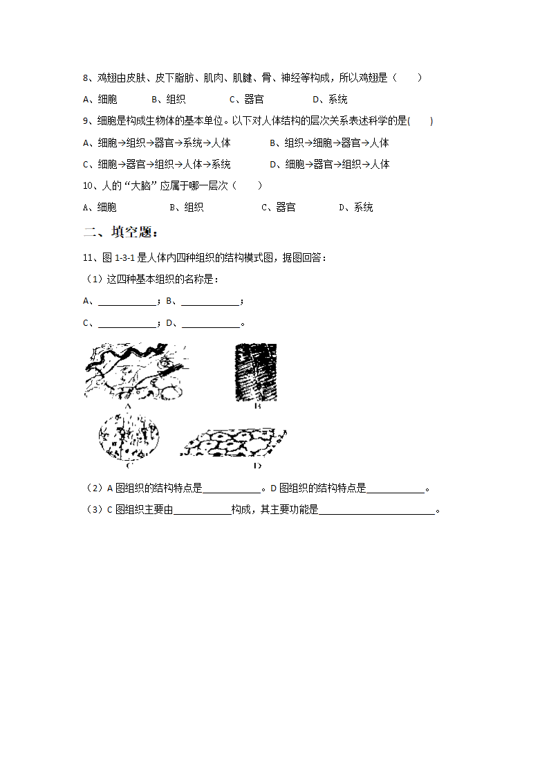 《第二节 生物体》同步练习2.doc第2页