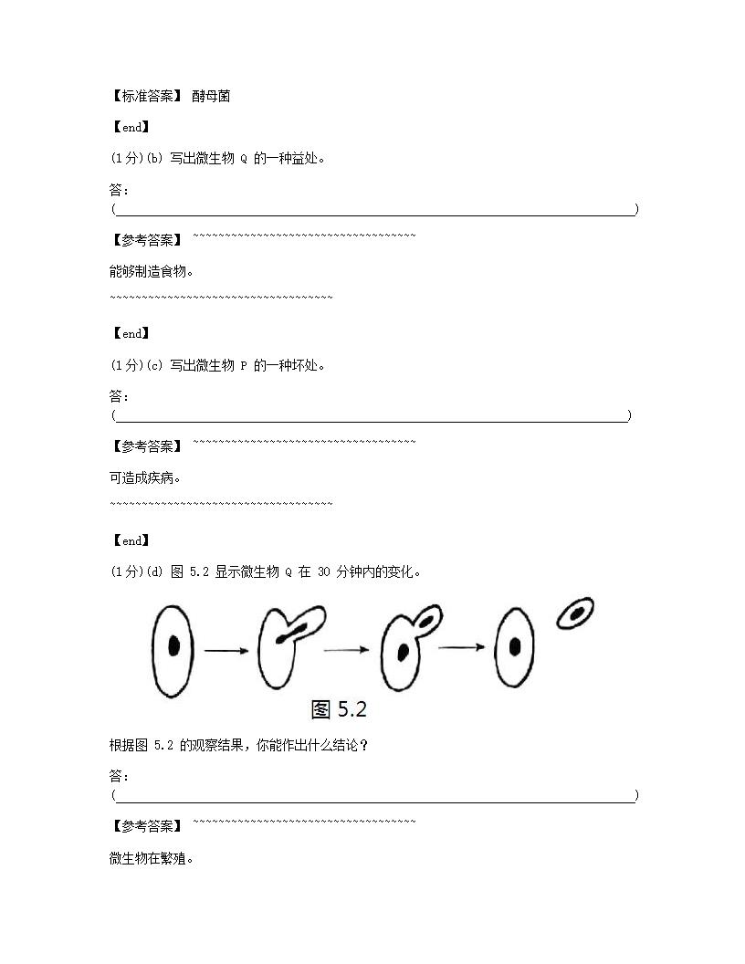 科学 - 试卷二.docx第8页