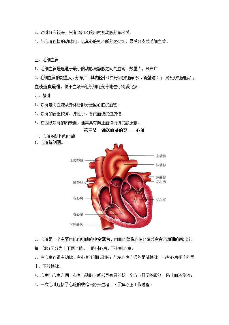 七年级下册生物复习提纲整理版.doc第7页