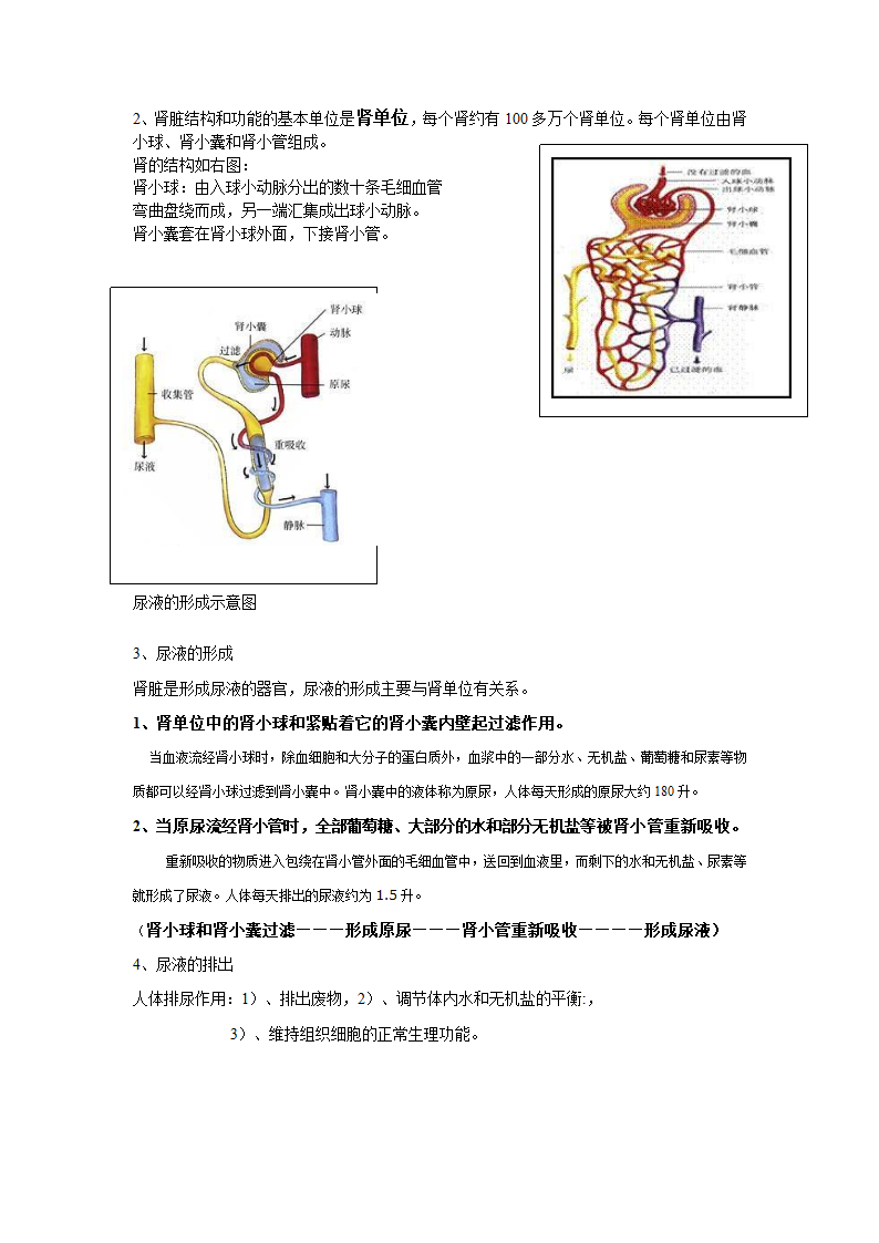 七年级下册生物复习提纲整理版.doc第9页