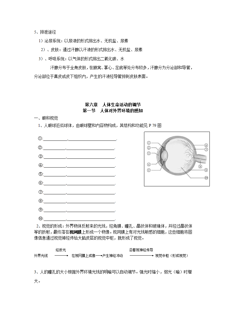 七年级下册生物复习提纲整理版.doc第10页