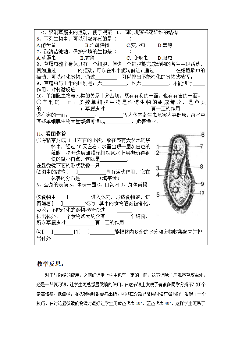 人教版七年级上生物2.2.4单细胞生物教案.doc第3页