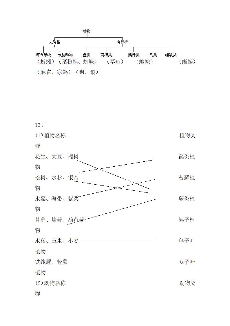 《尝试对生物进行分类》导学案.doc.doc第11页