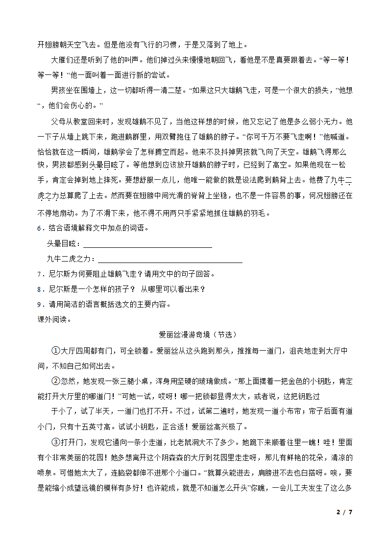 部编版2022-2023学年六年级下册语文 《骑鹅旅行记（节选）》同步练习.doc第2页