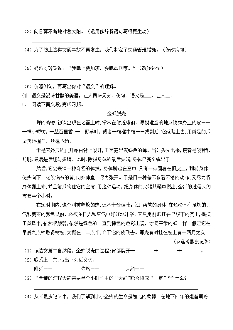 统编版小升初语文暑期天天自测练（22）（含答案）.doc第2页