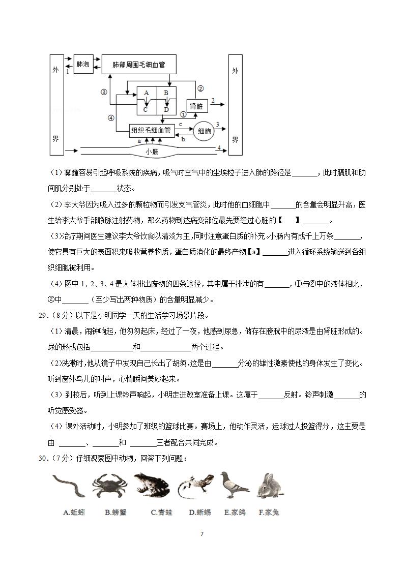 八年级生物模拟试题（一）（含答案）.doc第7页