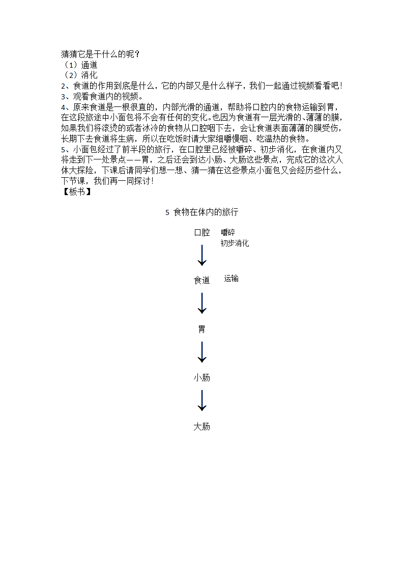 4.5食物在体内的旅行 教案.doc第2页