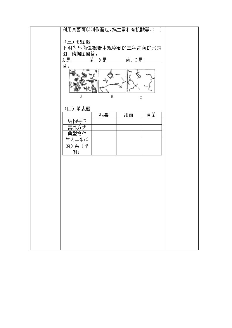 苏教版八上生物 14.3神奇的微生物  教案.doc第5页