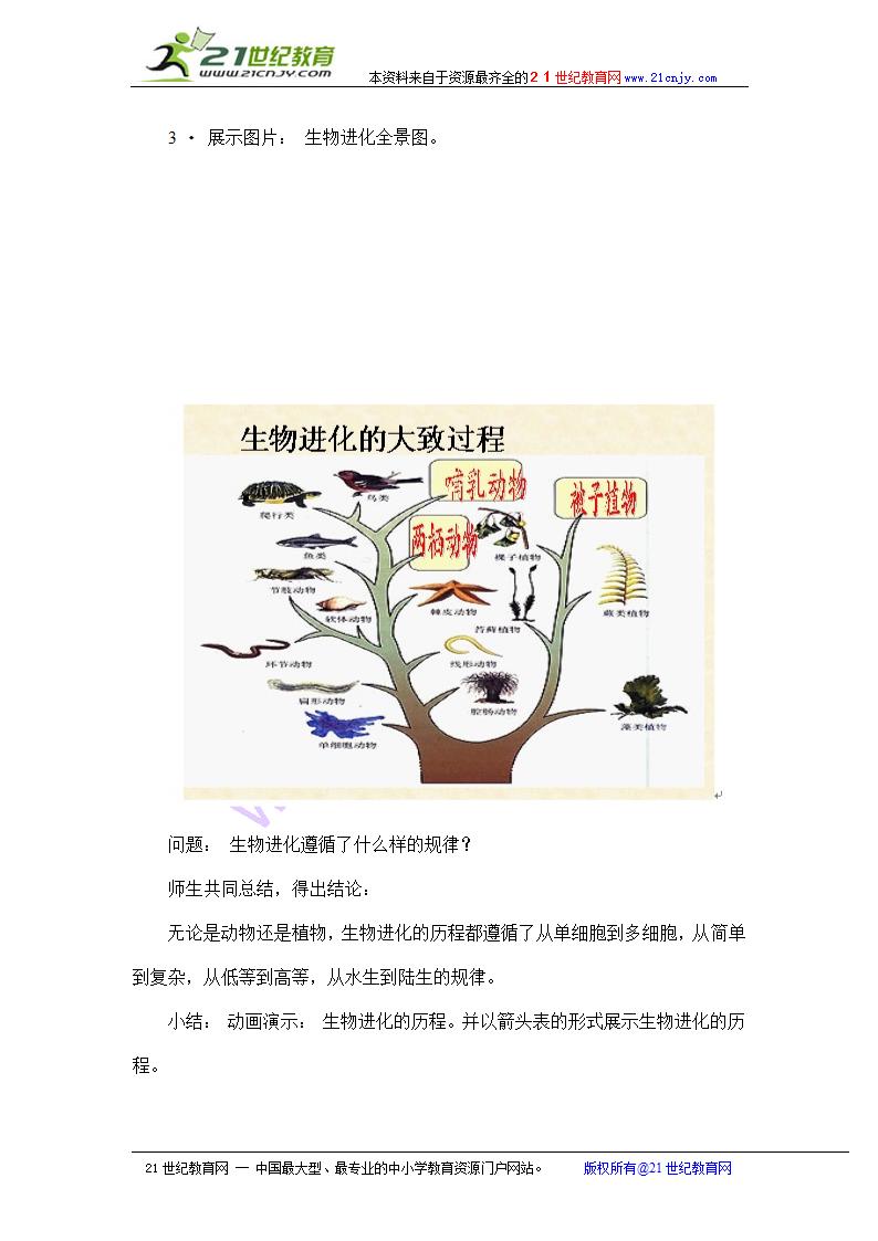 《生物进化的历程》教学设计的几个思路.doc第7页