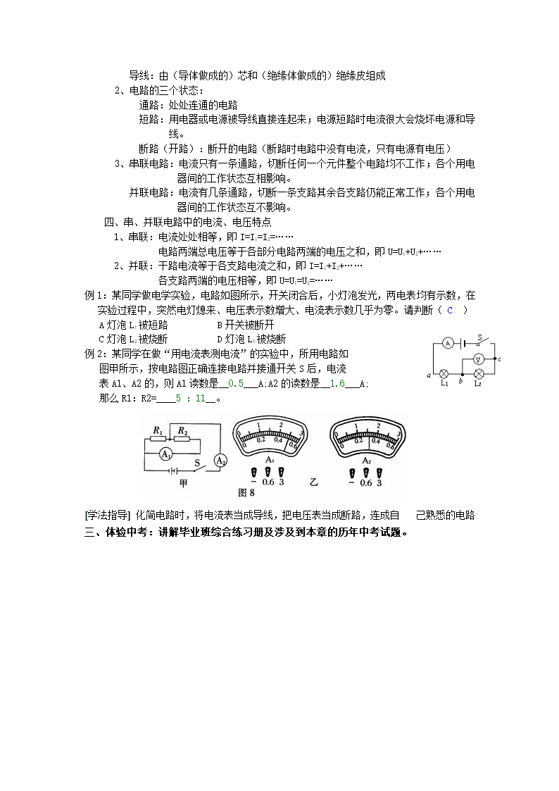 初中物理复习教案.doc第14页