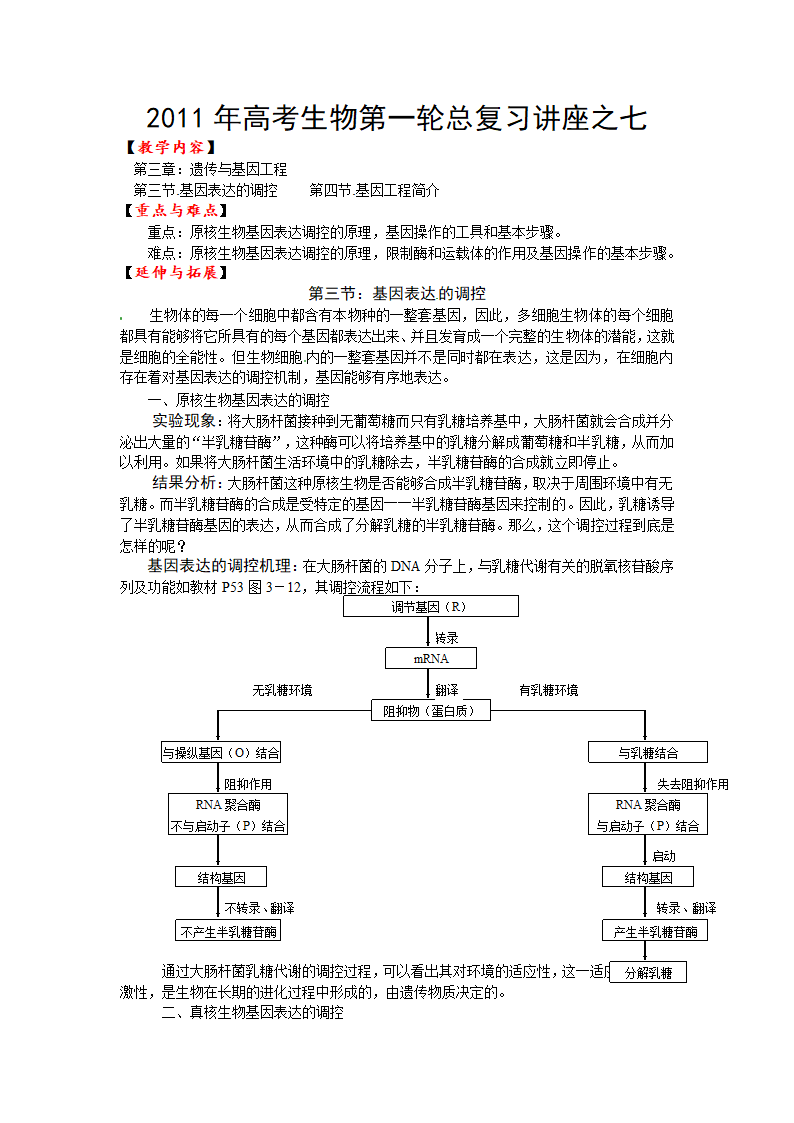 2011年高考生物第一轮总复习讲座之七.doc第1页