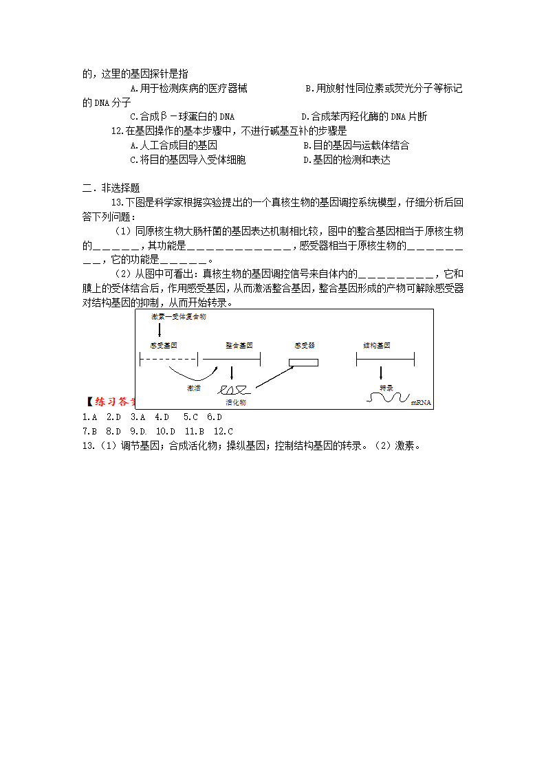 2011年高考生物第一轮总复习讲座之七.doc第5页