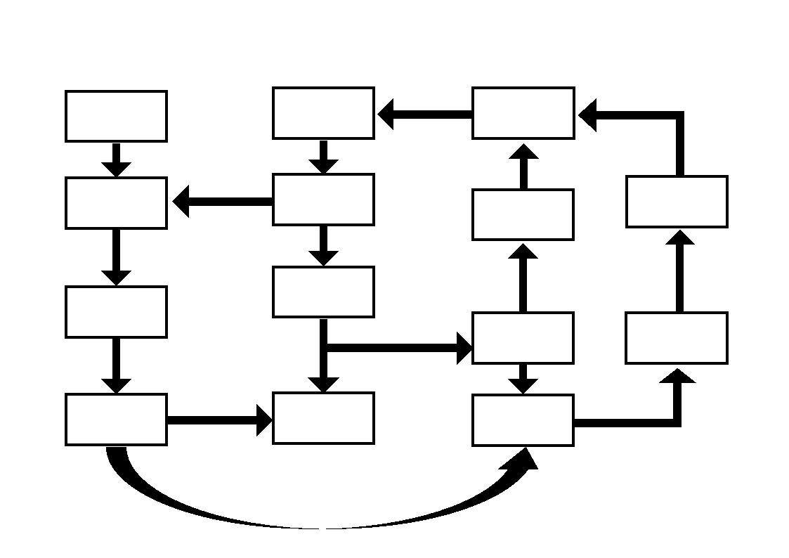 企业工作流程图（思维导图）.docx第2页