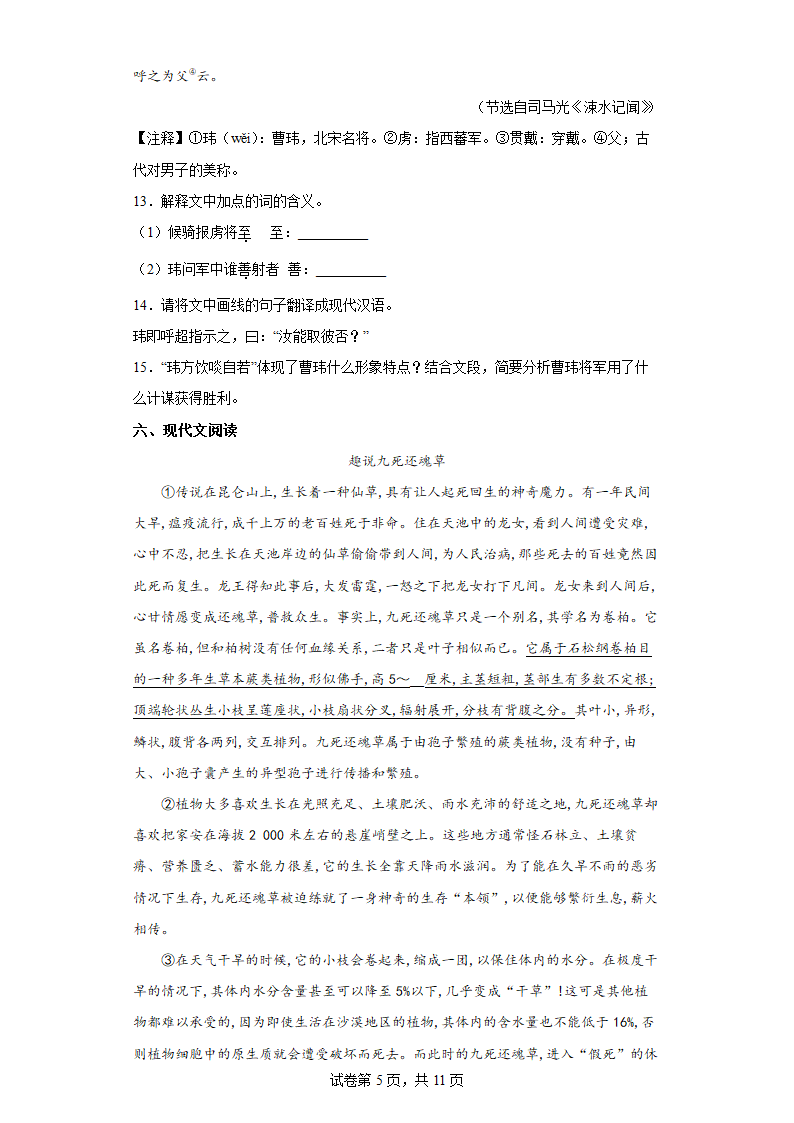 部编版初高语文衔接卷（三）（word版含答案）.doc第5页