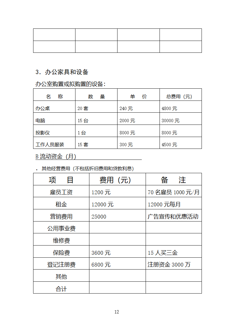 旅行社连锁经营开发商业计划书.docx第12页