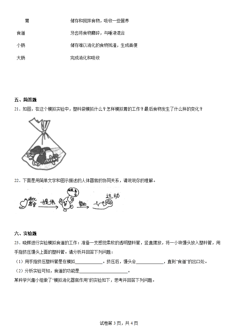 教科版（2017秋）科学 四年级上册 2.8食物在体内的旅行 同步练习（word版 含答案）.doc第3页