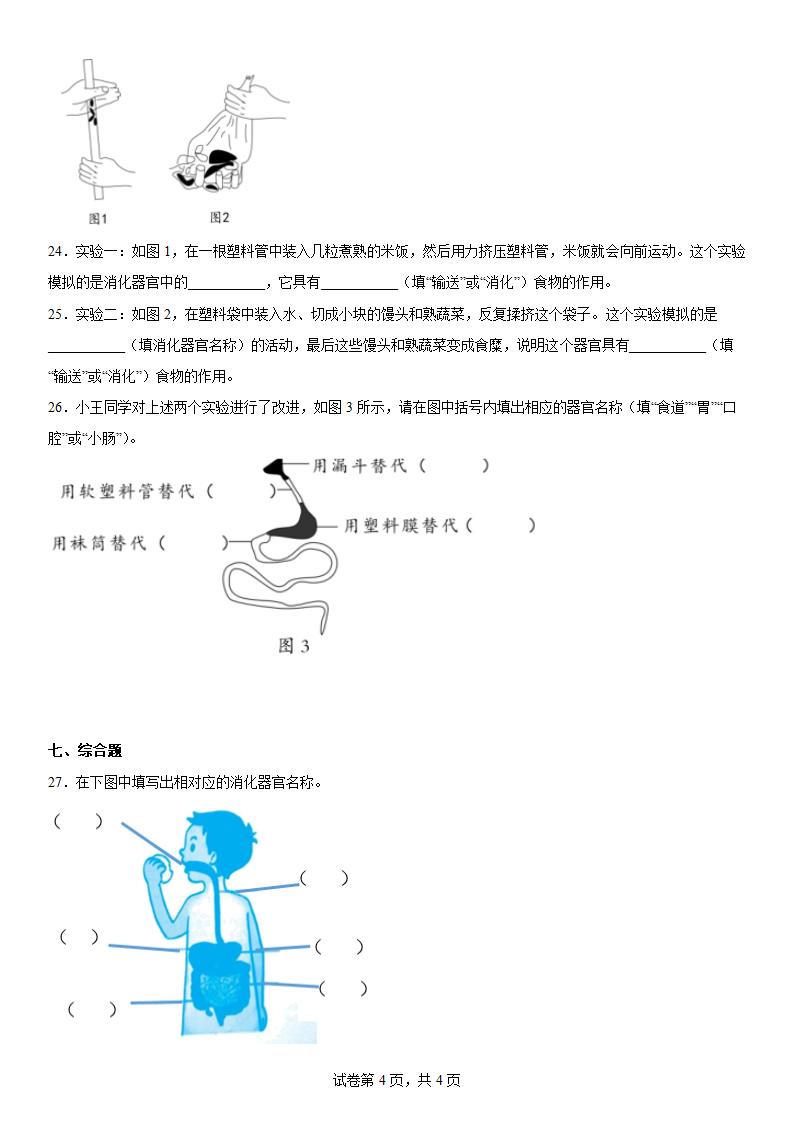 教科版（2017秋）科学 四年级上册 2.8食物在体内的旅行 同步练习（word版 含答案）.doc第4页