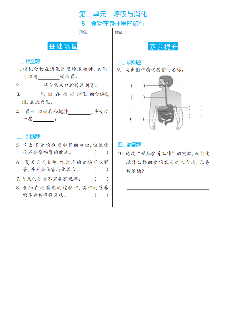 教科版（2017秋） 四年级上册8   食物在身体里的旅行双减分层同步练习（含答案）.doc