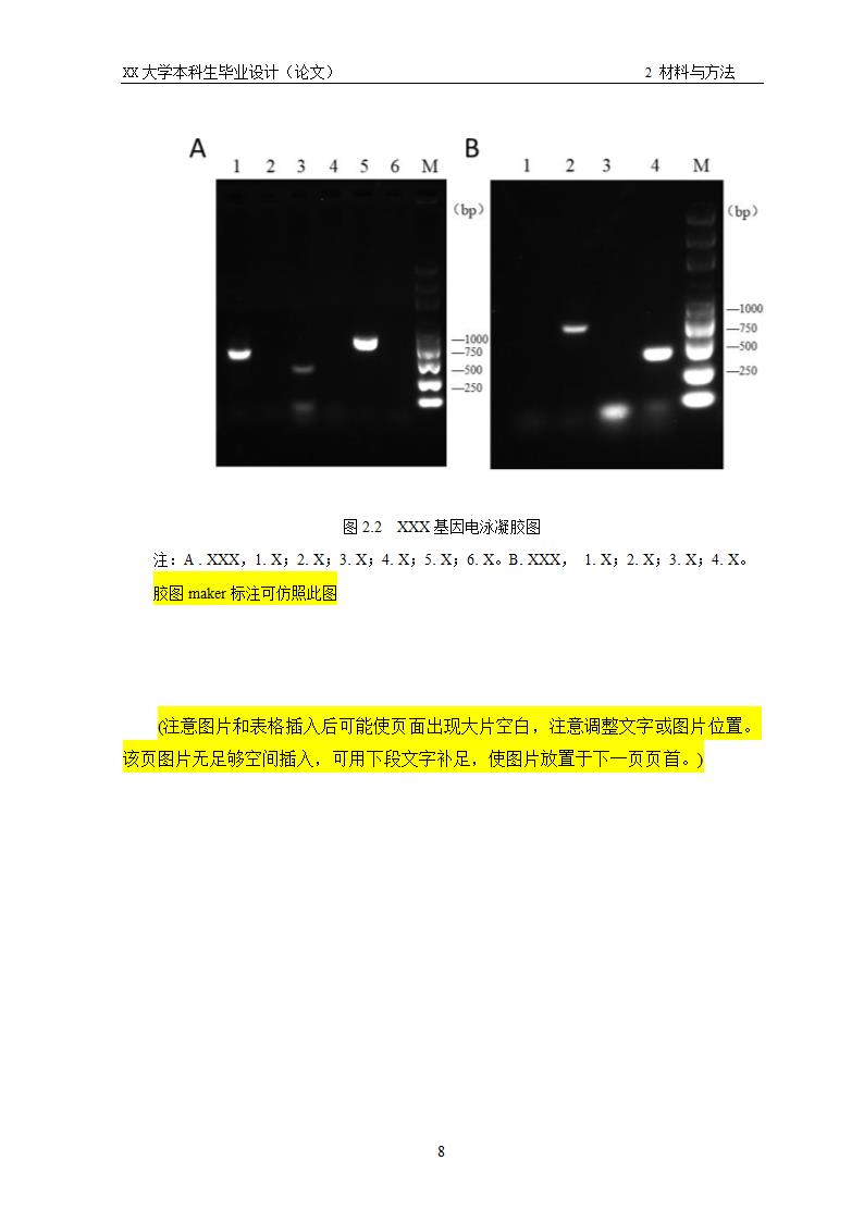 XX大学本科生毕业论文书写示例.docx第10页