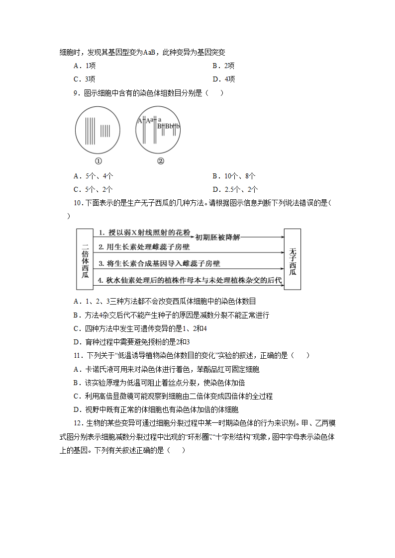 《第四节 生物的变异》同步练习2.doc第3页