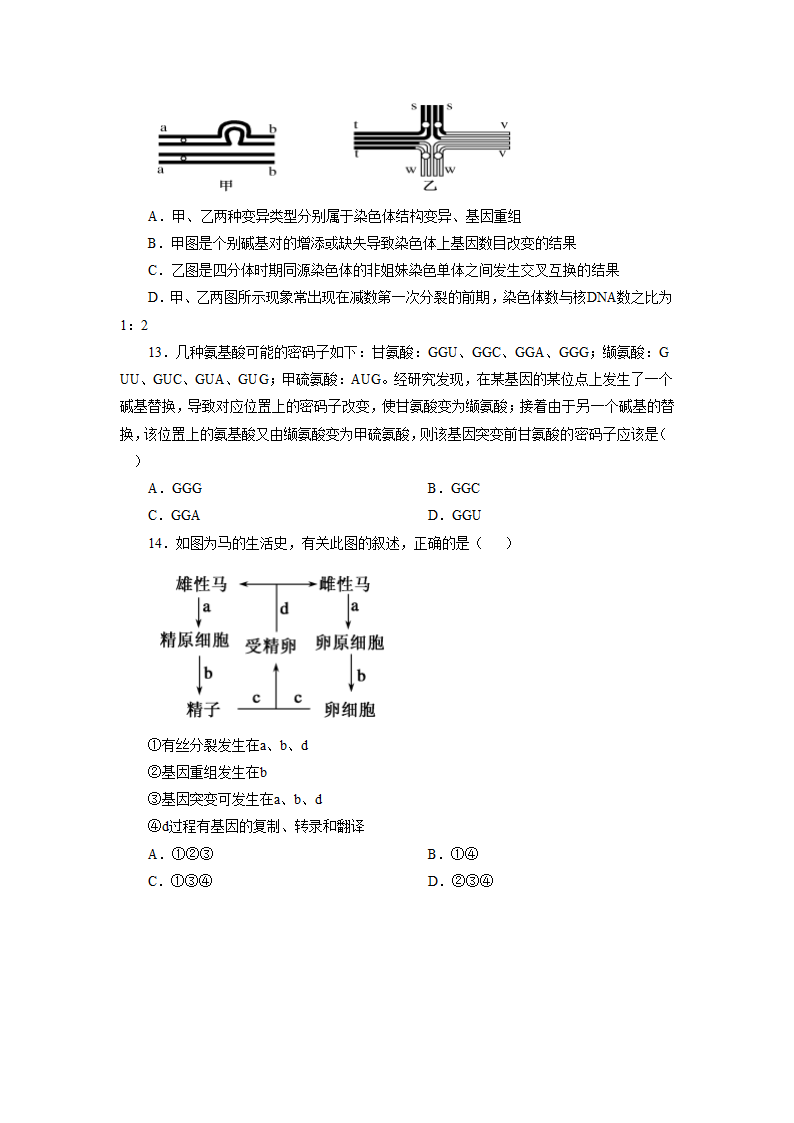 《第四节 生物的变异》同步练习2.doc第4页