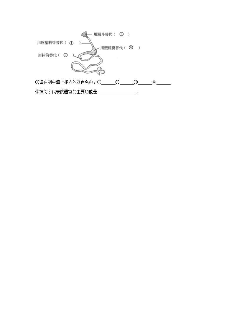 四年级科学上册教科版第2.8课  食物在身体里的旅行同步练习（含解析）.doc第3页