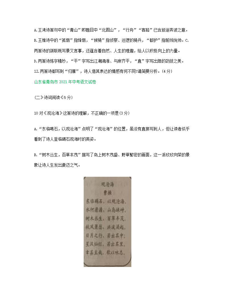 2021年中考语文解析版试卷精选汇编：古诗阅读专题（word版含答案）.doc第5页