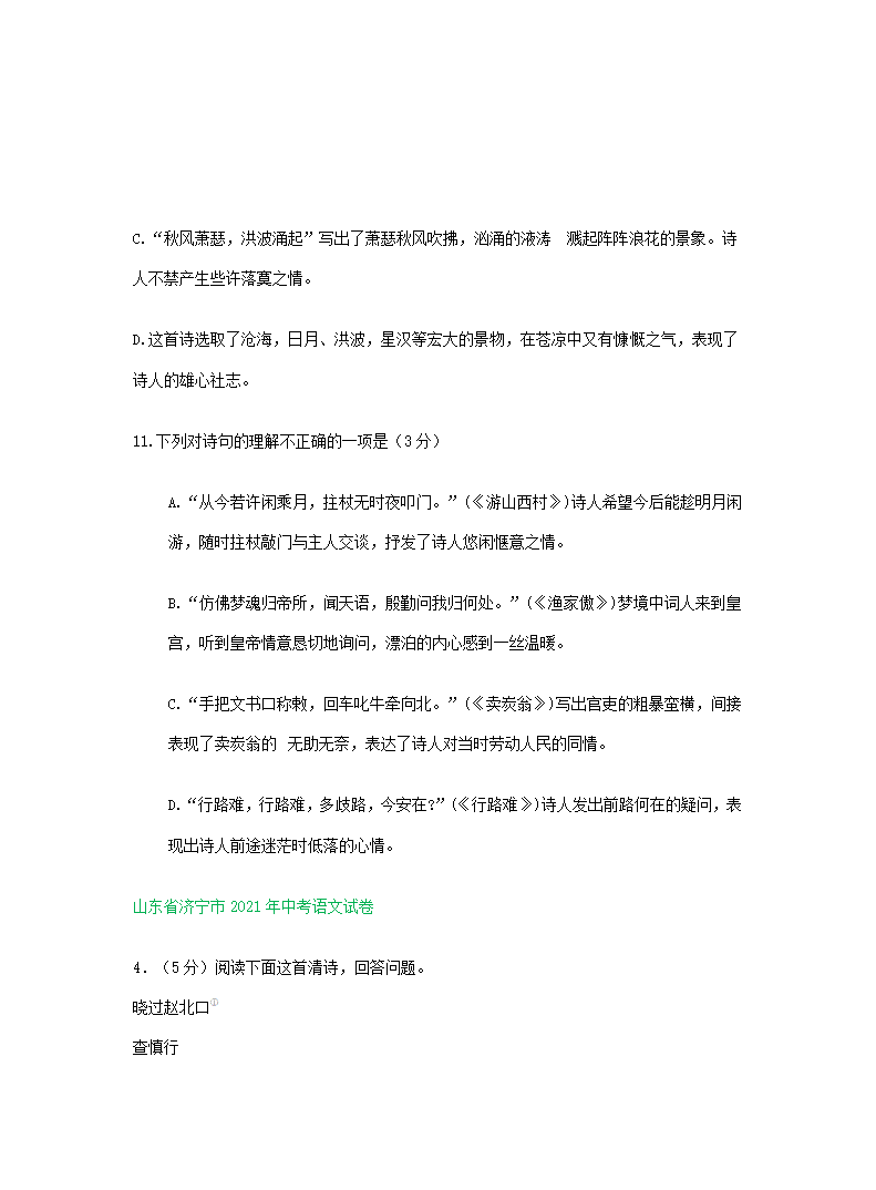 2021年中考语文解析版试卷精选汇编：古诗阅读专题（word版含答案）.doc第6页