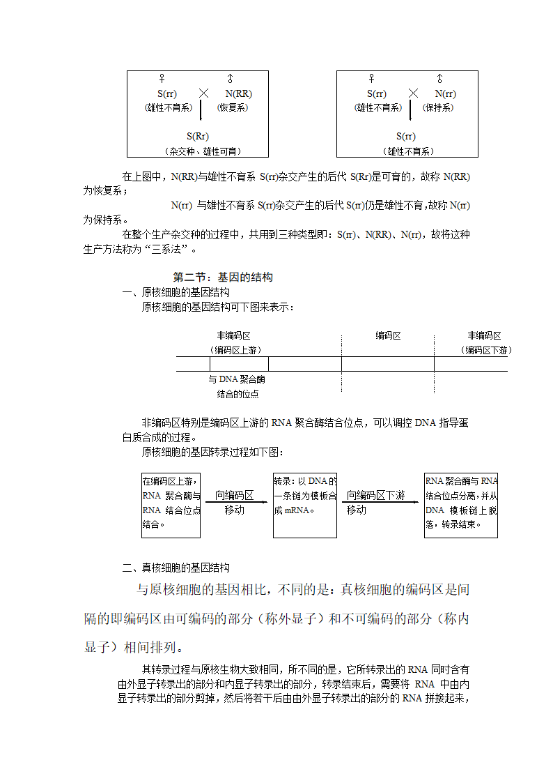 2011年高考生物第一轮总复习讲座之六.doc第3页